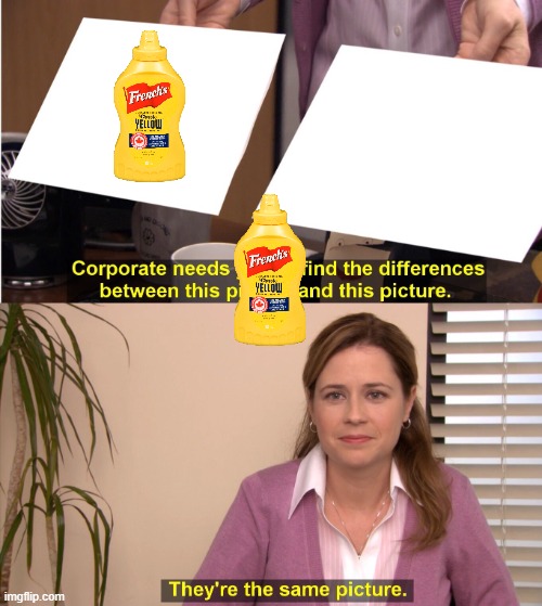 They're The Same Picture | image tagged in memes,they're the same picture | made w/ Imgflip meme maker