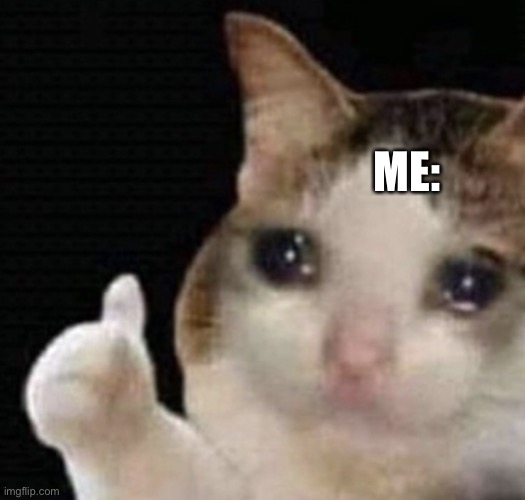 cat cry | ME: | image tagged in cat cry | made w/ Imgflip meme maker
