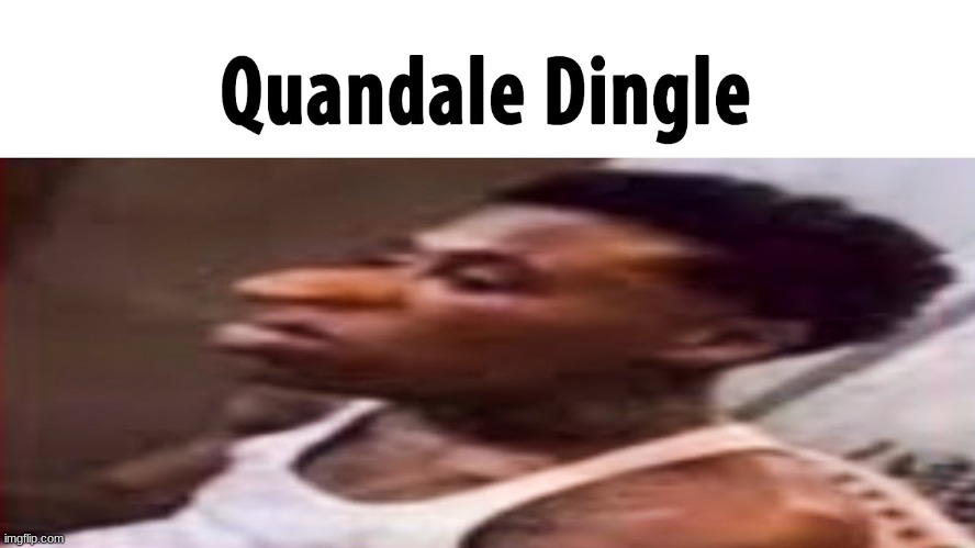 Hey Guys Quandale Dingle Here Jk goofy ahh | image tagged in quandale dingle,goofy ahh | made w/ Imgflip meme maker