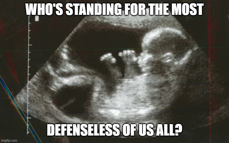 Does My Life Matter? | WHO'S STANDING FOR THE MOST; DEFENSELESS OF US ALL? | made w/ Imgflip meme maker