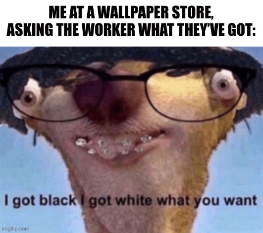 Haha | ME AT A WALLPAPER STORE, ASKING THE WORKER WHAT THEY’VE GOT: | image tagged in i got black i got white what ya want,wallpapers,store,dollar tree,so i got that goin for me which is nice | made w/ Imgflip meme maker
