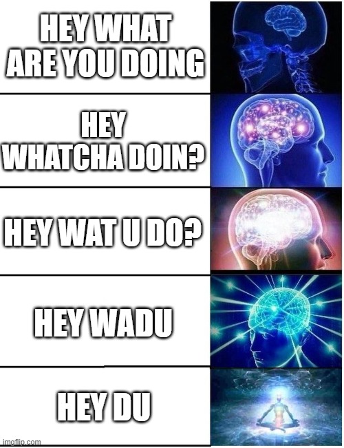no title that is clever | HEY WHAT ARE YOU DOING; HEY WHATCHA DOIN? HEY WAT U DO? HEY WADU; HEY DU | image tagged in expanding brain,stop reading the tags,why are you reading this,oh wow are you actually reading these tags | made w/ Imgflip meme maker