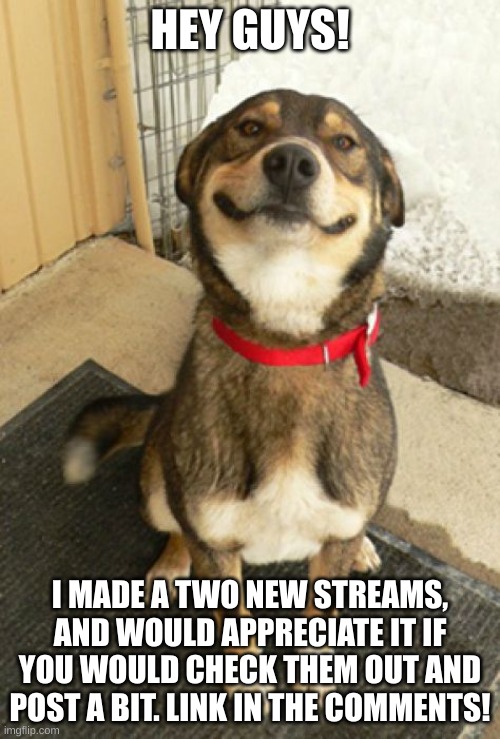 advertisement for two new streams | HEY GUYS! I MADE A TWO NEW STREAMS, AND WOULD APPRECIATE IT IF YOU WOULD CHECK THEM OUT AND POST A BIT. LINK IN THE COMMENTS! | image tagged in smiling dog | made w/ Imgflip meme maker