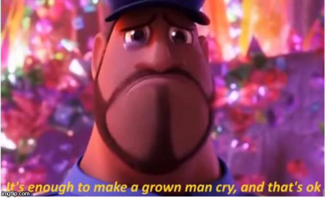 It's enough to make a grown man cry and that's ok | image tagged in it's enough to make a grown man cry and that's ok,memes | made w/ Imgflip meme maker