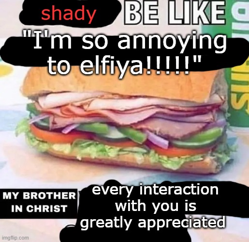 shady "I'm so annoying to elfiya!!!!!" every interaction with you is greatly appreciated | made w/ Imgflip meme maker