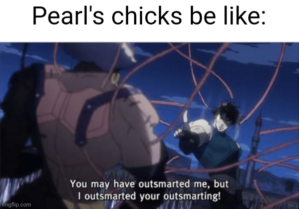 You may have outsmarted me, but i outsmarted your understanding | Pearl's chicks be like: | image tagged in you may have outsmarted me but i outsmarted your understanding | made w/ Imgflip meme maker