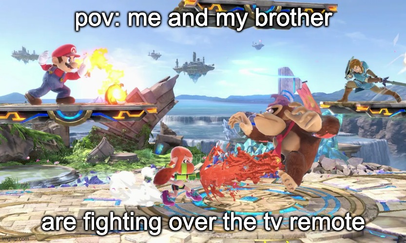 the tv remote | pov: me and my brother; are fighting over the tv remote | image tagged in memes | made w/ Imgflip meme maker