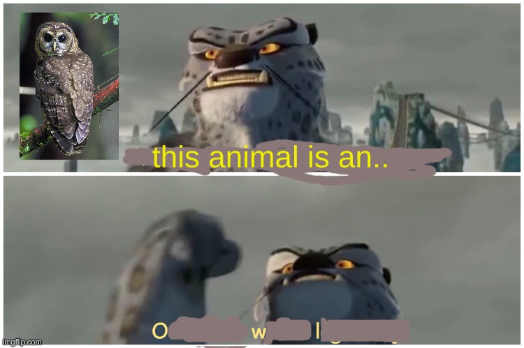 Owl | this animal is an.. | image tagged in our battle will be owl | made w/ Imgflip meme maker