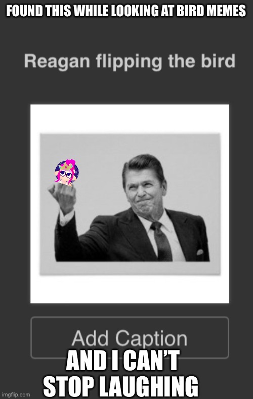 Because my name is Reagan lol | FOUND THIS WHILE LOOKING AT BIRD MEMES; AND I CAN’T STOP LAUGHING | made w/ Imgflip meme maker