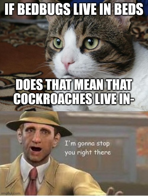 /j |  IF BEDBUGS LIVE IN BEDS; DOES THAT MEAN THAT COCKROACHES LIVE IN- | image tagged in thinking cat,im going to stop you right there,sus,oh wow are you actually reading these tags,memes,funny | made w/ Imgflip meme maker