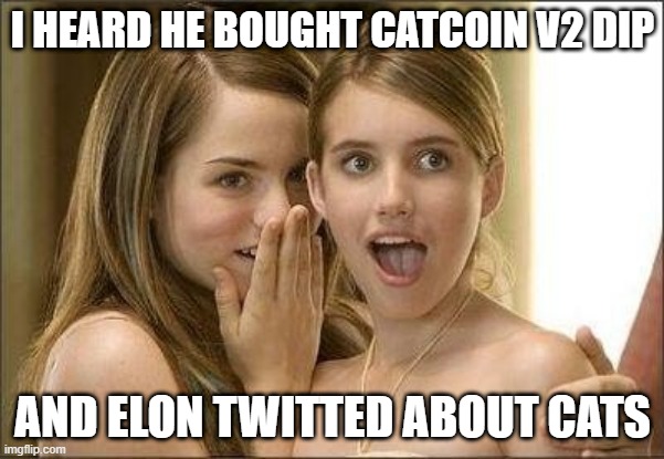 I heard he | I HEARD HE BOUGHT CATCOIN V2 DIP; AND ELON TWITTED ABOUT CATS | image tagged in i heard he | made w/ Imgflip meme maker