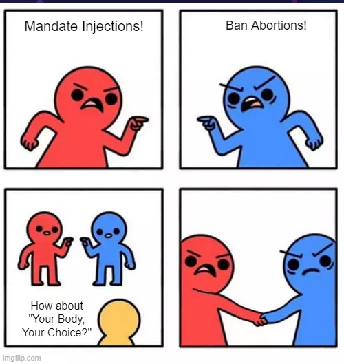 It just sounds stupid when you say it | Mandate Injections! Ban Abortions! How about "Your Body, Your Choice?" | made w/ Imgflip meme maker
