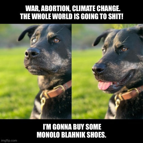 Dog smiling | WAR, ABORTION, CLIMATE CHANGE. THE WHOLE WORLD IS GOING TO SHIT! I’M GONNA BUY SOME MONOLO BLAHNIK SHOES. | image tagged in dog pun,2 part,think about it | made w/ Imgflip meme maker