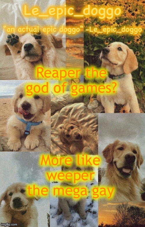 Doggo temp by doggo. Wait what that’s confusing | Reaper the god of games? More like weeper the mega gay | image tagged in doggo temp by doggo wait what that s confusing | made w/ Imgflip meme maker