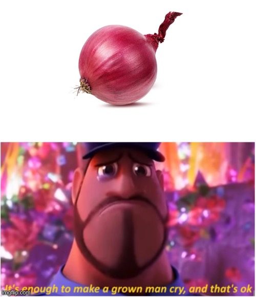 Onion | image tagged in it's enough to make a grown man cry and that's ok,onions | made w/ Imgflip meme maker