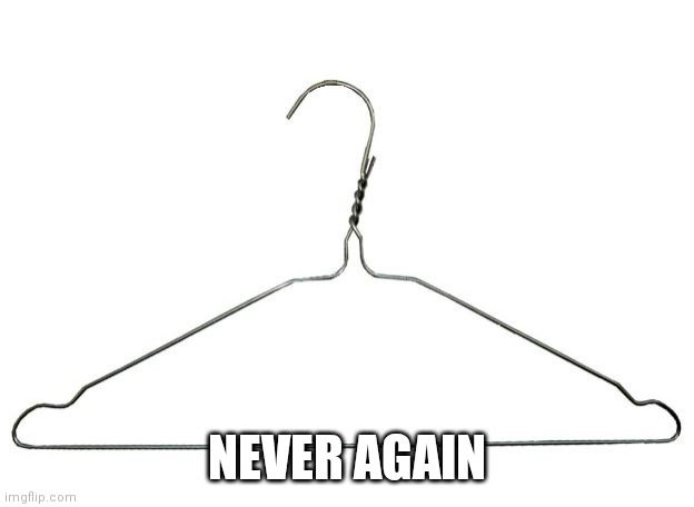coat hanger | NEVER AGAIN | image tagged in coat hanger | made w/ Imgflip meme maker