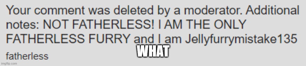 WHAT | made w/ Imgflip meme maker