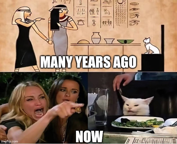 The Meme That Existed For A Very Long Time | MANY YEARS AGO; NOW | image tagged in woman yelling at cat,roman | made w/ Imgflip meme maker
