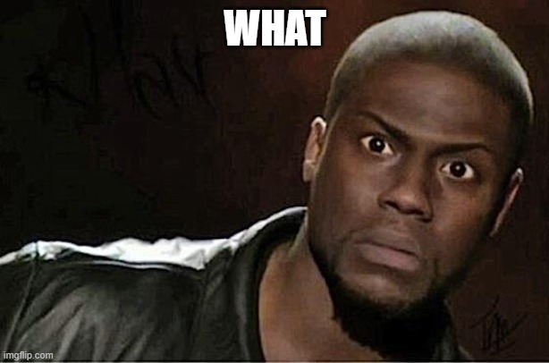 Kevin Hart Meme | WHAT | image tagged in memes,kevin hart | made w/ Imgflip meme maker