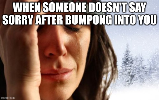 Life in Canada |  WHEN SOMEONE DOESN'T SAY SORRY AFTER BUMPONG INTO YOU | image tagged in memes,1st world canadian problems | made w/ Imgflip meme maker