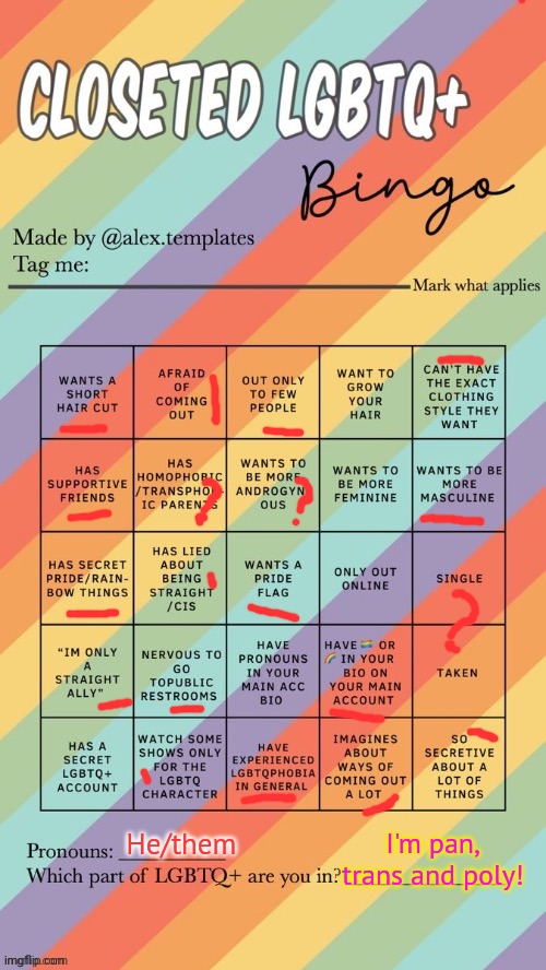 The question marks mean I'm not sure about something | I'm pan, trans and poly! He/them | image tagged in closeted lgbtq bingo | made w/ Imgflip meme maker