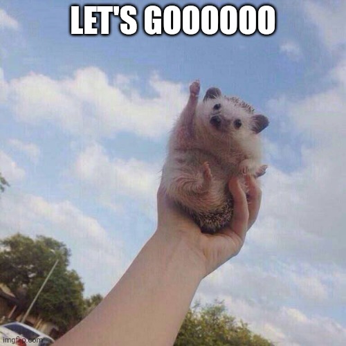 lets go | LET'S GOOOOOO | image tagged in lets go | made w/ Imgflip meme maker