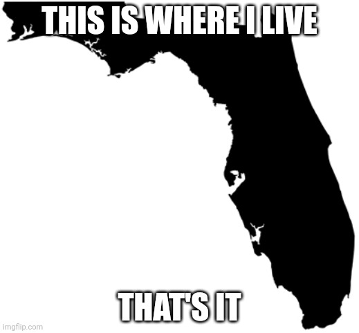 Idk im bored. Plus, Florida is a highly overpopulated state. | THIS IS WHERE I LIVE; THAT'S IT | image tagged in florida | made w/ Imgflip meme maker