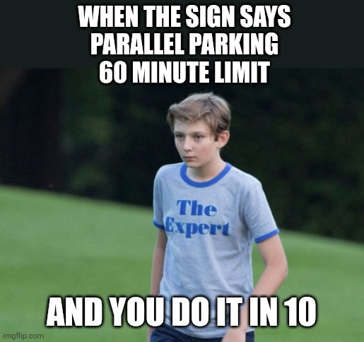 The Expert | WHEN THE SIGN SAYS
PARALLEL PARKING
60 MINUTE LIMIT; AND YOU DO IT IN 10 | image tagged in the expert,parallel parking | made w/ Imgflip meme maker
