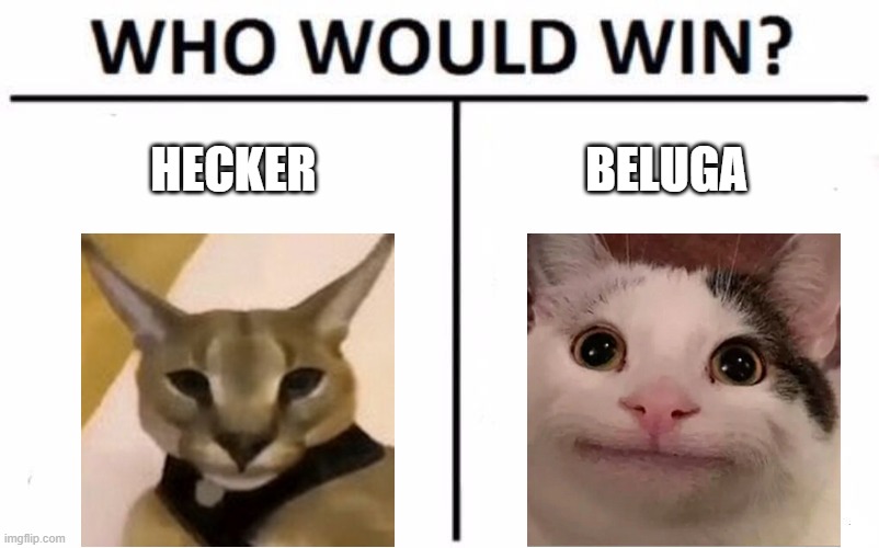 hecker vs beluga | HECKER; BELUGA | image tagged in memes,who would win | made w/ Imgflip meme maker