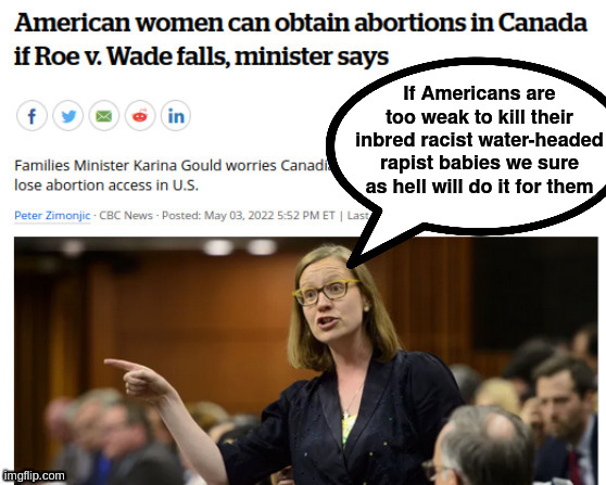 its a joke she never said this - in public | If Americans are too weak to kill their inbred racist water-headed rapist babies we sure as hell will do it for them | image tagged in canadian,politics,rare,debate,exciting | made w/ Imgflip meme maker