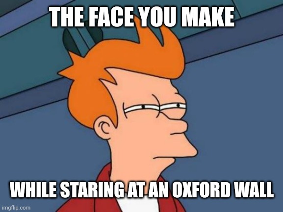If prince John is paying I'll bring karen | THE FACE YOU MAKE; WHILE STARING AT AN OXFORD WALL | image tagged in memes,futurama fry,robin hood | made w/ Imgflip meme maker