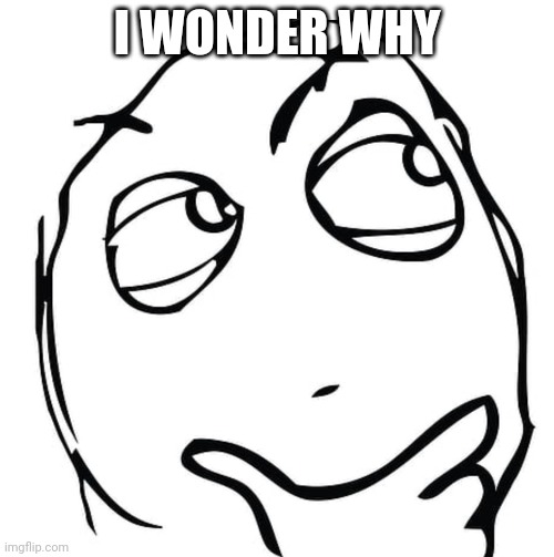 i wonder | I WONDER WHY | image tagged in i wonder | made w/ Imgflip meme maker