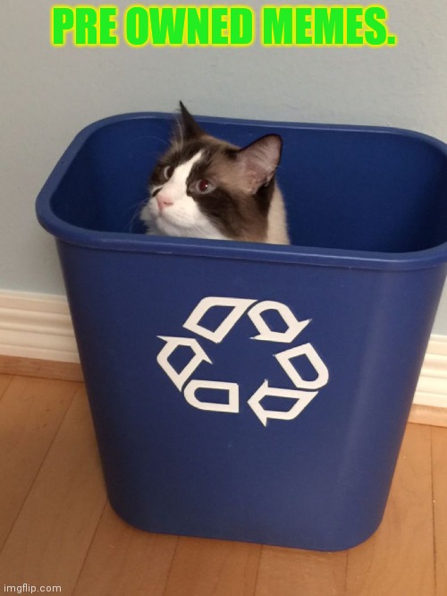 cat recycle | PRE OWNED MEMES. | image tagged in cat recycle | made w/ Imgflip meme maker