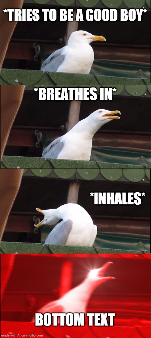 Inhaling Seagull | *TRIES TO BE A GOOD BOY*; *BREATHES IN*; *INHALES*; BOTTOM TEXT | image tagged in memes,inhaling seagull | made w/ Imgflip meme maker