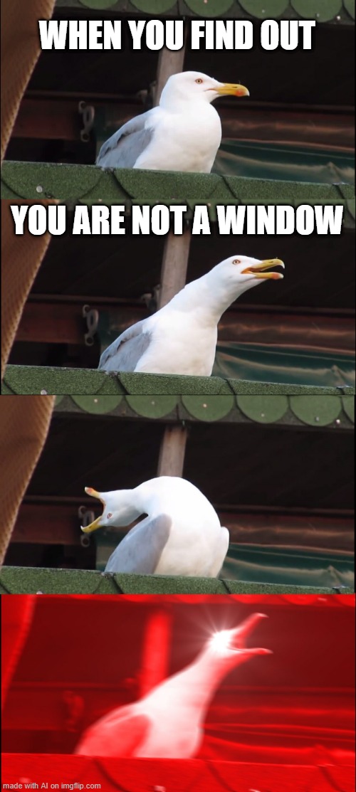 Inhaling Seagull | WHEN YOU FIND OUT; YOU ARE NOT A WINDOW | image tagged in memes,inhaling seagull | made w/ Imgflip meme maker