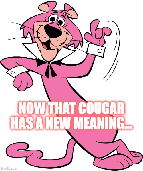 Snagglepuss | NOW THAT COUGAR HAS A NEW MEANING... | image tagged in snagglepuss | made w/ Imgflip meme maker