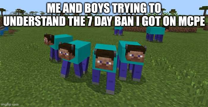 I really today got banned on 7 days from Minecraft: Pocket Edition | ME AND BOYS TRYING TO UNDERSTAND THE 7 DAY BAN I GOT ON MCPE | image tagged in me and the boys | made w/ Imgflip meme maker