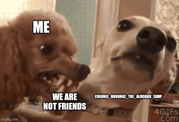 Jk Bubonic is my bestie 4lifer ^^ | ME; COLONEL_BUBONIC_THE_ALUCARD_SIMP; WE ARE NOT FRIENDS | image tagged in angry doog | made w/ Imgflip meme maker