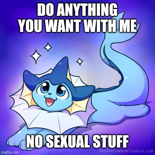 vaporeon | DO ANYTHING YOU WANT WITH ME; NO SEXUAL STUFF | image tagged in vaporeon | made w/ Imgflip meme maker