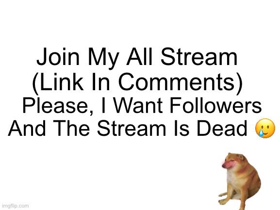 Join pls/ | Join My All Stream (Link In Comments); Please, I Want Followers And The Stream Is Dead 🥲 | image tagged in blank white template,tags | made w/ Imgflip meme maker