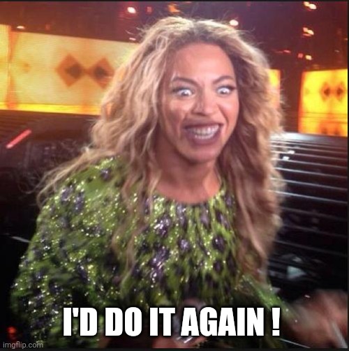 Memes, Beyonce | I'D DO IT AGAIN ! | image tagged in memes beyonce | made w/ Imgflip meme maker