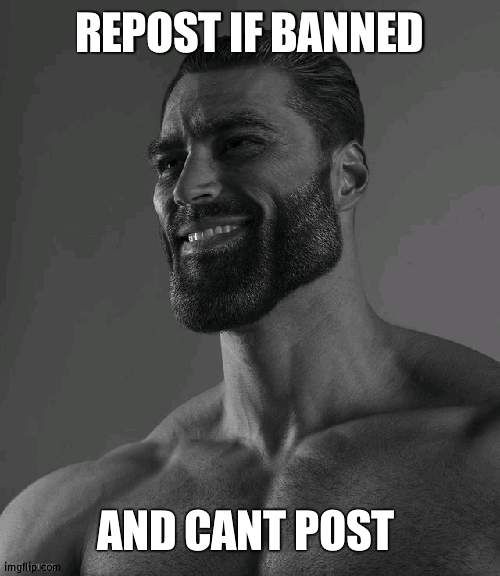 guys unban me | REPOST IF BANNED; AND CANT POST | made w/ Imgflip meme maker