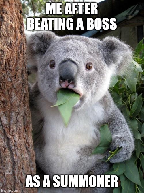 Finally!!! I'm trying to start playing as a summoner and I have one thing to say: the defense sucks | ME AFTER BEATING A BOSS; AS A SUMMONER | image tagged in memes,surprised koala | made w/ Imgflip meme maker