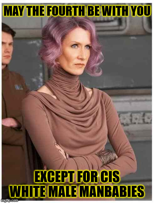 A special May 4th message from Vice Admiral Gender Studies |  MAY THE FOURTH BE WITH YOU; EXCEPT FOR CIS WHITE MALE MANBABIES | image tagged in vice admiral holdo,may the 4th,may the fourth,disney star wars,disney killed star wars,gender studies | made w/ Imgflip meme maker