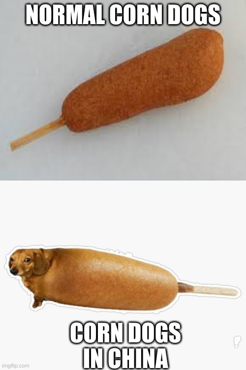 Corn dogs in china | NORMAL CORN DOGS; CORN DOGS IN CHINA | image tagged in funny | made w/ Imgflip meme maker