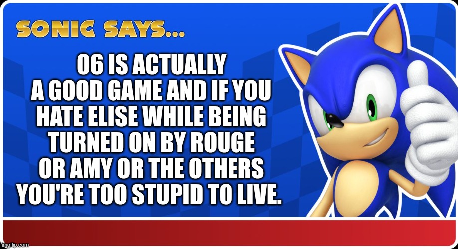 Sonic Says | 06 IS ACTUALLY A GOOD GAME AND IF YOU HATE ELISE WHILE BEING TURNED ON BY ROUGE OR AMY OR THE OTHERS YOU'RE TOO STUPID TO LIVE. | image tagged in sonic says | made w/ Imgflip meme maker