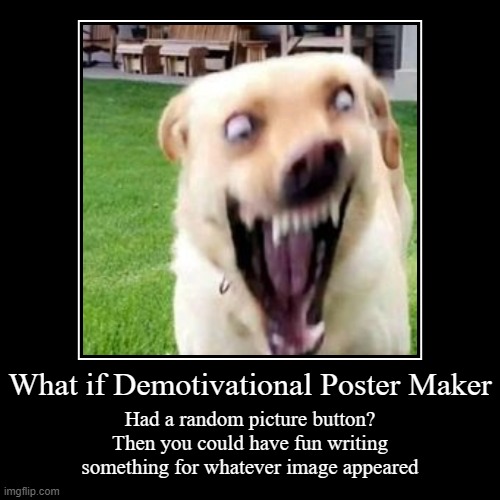 A feature I would love | image tagged in funny,demotivationals,imgflip,feature request,random image,dog | made w/ Imgflip demotivational maker