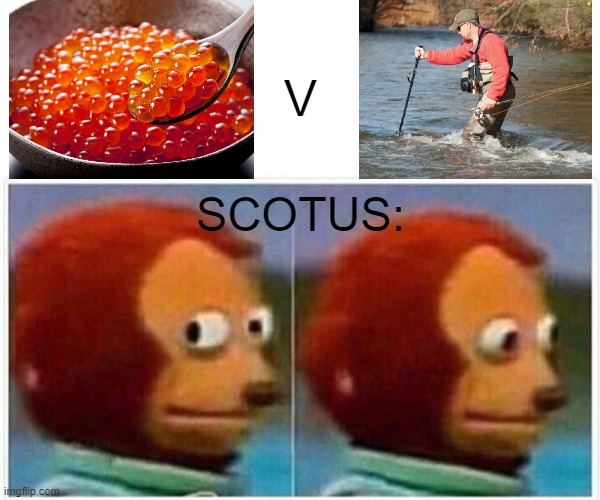 Current events pictogram edition | V; SCOTUS: | image tagged in memes,monkey puppet,roe,wade,scotus | made w/ Imgflip meme maker