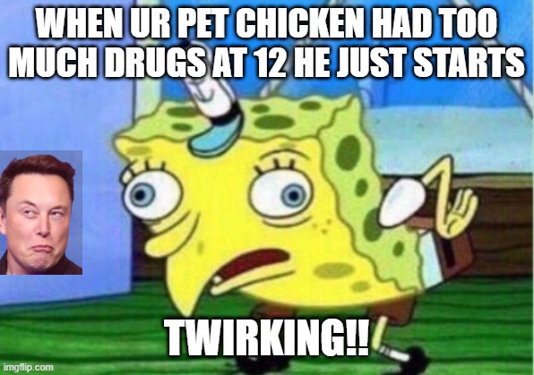 Mocking Spongebob Meme | WHEN UR PET CHICKEN HAD TOO MUCH DRUGS AT 12 HE JUST STARTS; TWIRKING!! | image tagged in memes,mocking spongebob | made w/ Imgflip meme maker