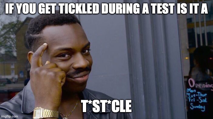 Sorry | IF YOU GET TICKLED DURING A TEST IS IT A; T*ST*CLE | image tagged in memes,roll safe think about it | made w/ Imgflip meme maker